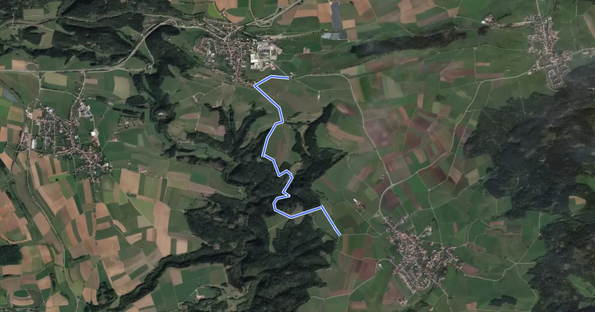 Маршрут Balgenbächle-Rundweg на спутниковом снимке
