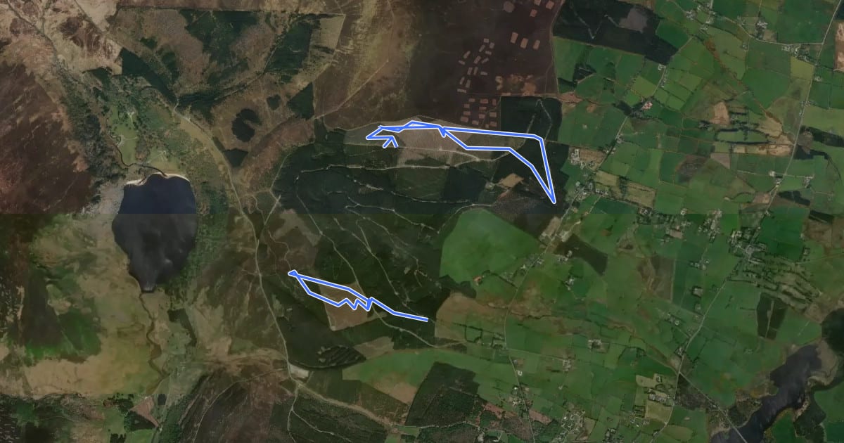 Маршрут Ballinastoe MTB Trail Black на спутниковом снимке