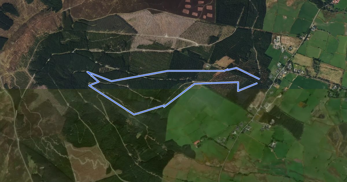 Маршрут Ballinastoe MTB Trail Blue на спутниковом снимке