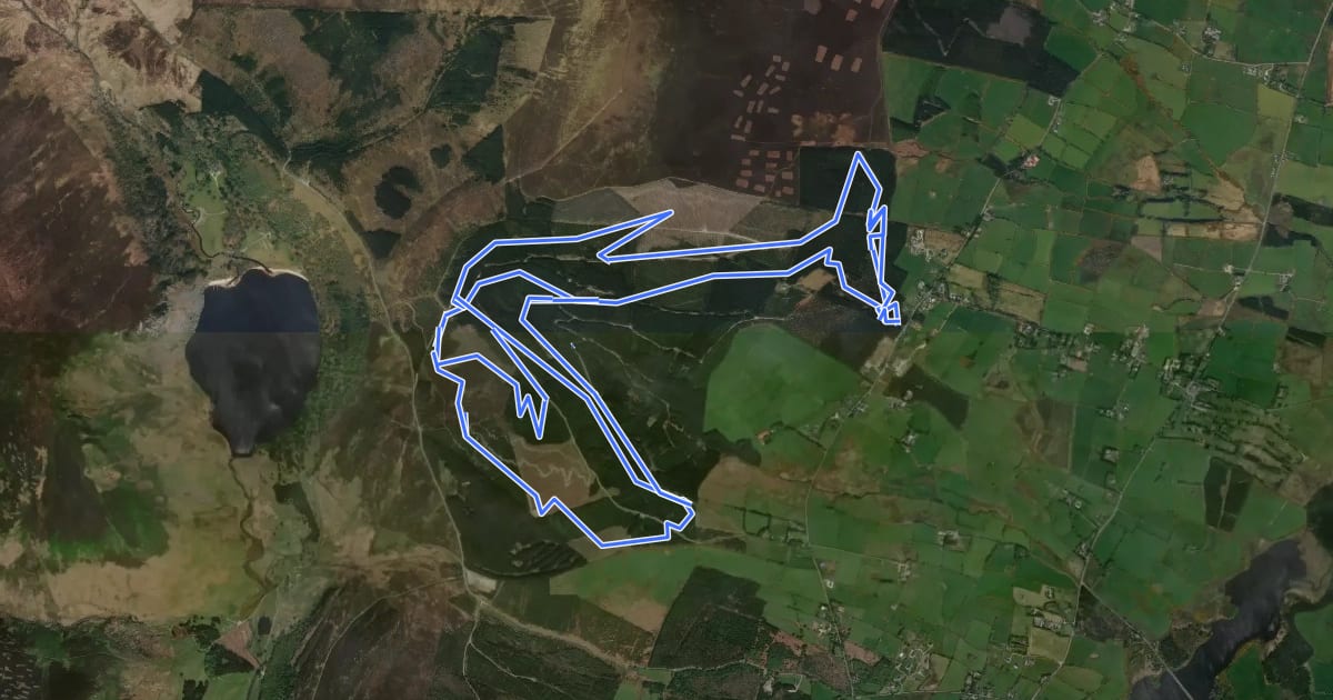 Маршрут Ballinastoe MTB Trail Red на спутниковом снимке