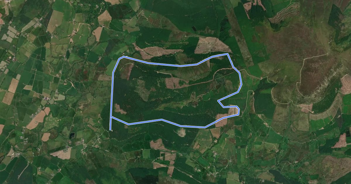Маршрут Ballyhourigan Woods looped walk на спутниковом снимке