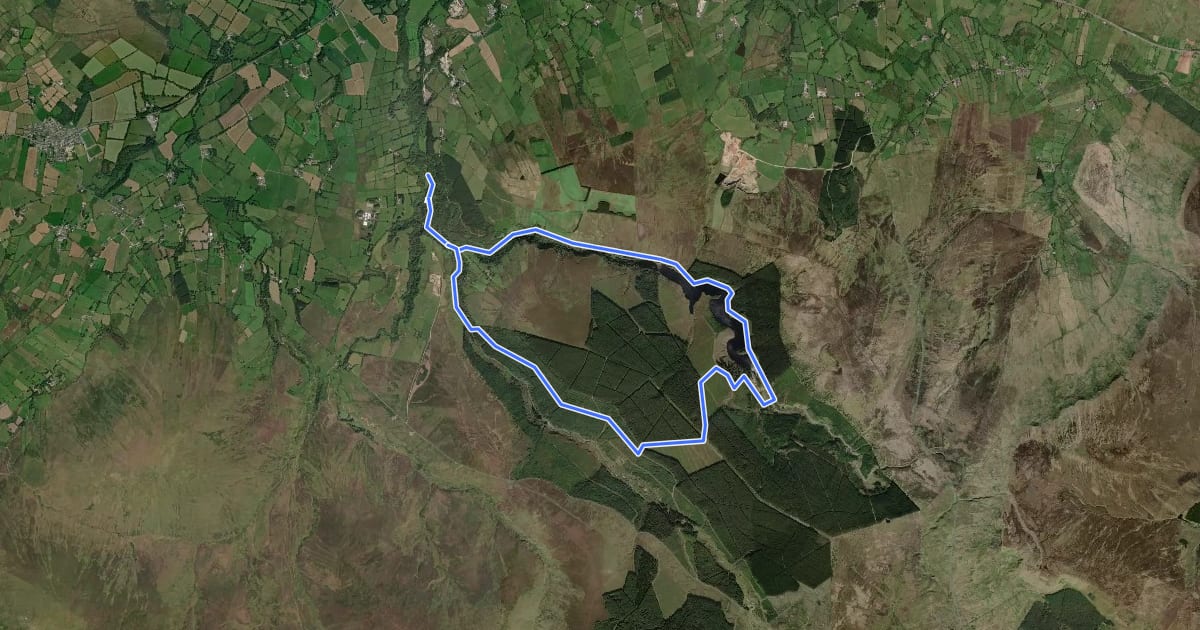Маршрут Banagher Glen - Forest Trail на спутниковом снимке