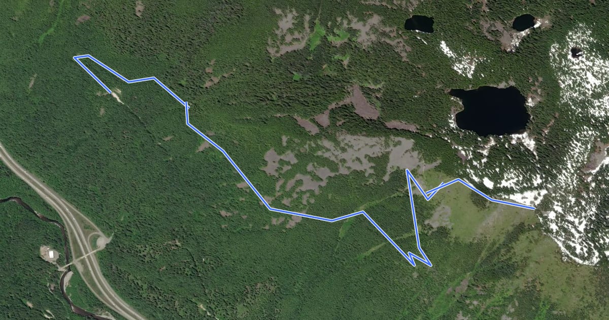 Маршрут Bandera Mountain Trail на спутниковом снимке
