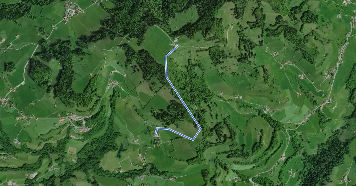 Маршрут Bannholz - Farneralp на спутниковом снимке