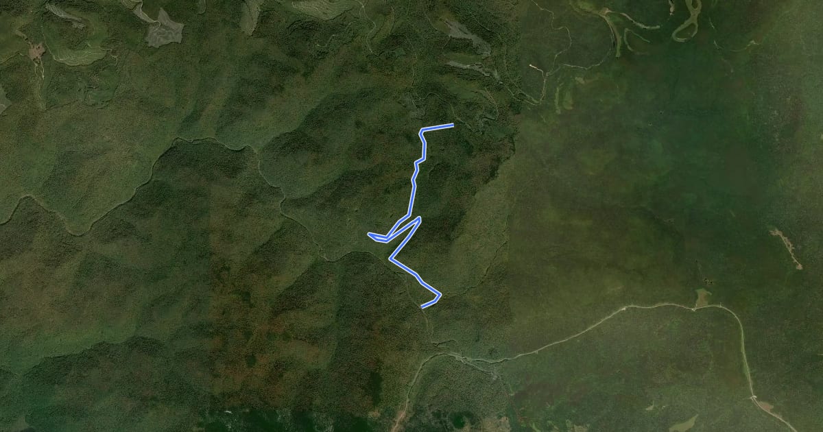 Маршрут Bannock Shoals Trail на спутниковом снимке