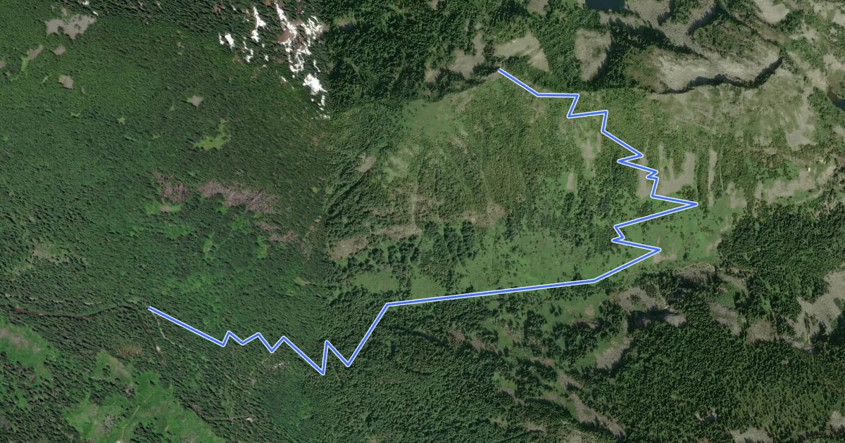 Маршрут Bare Mountain Trail на спутниковом снимке