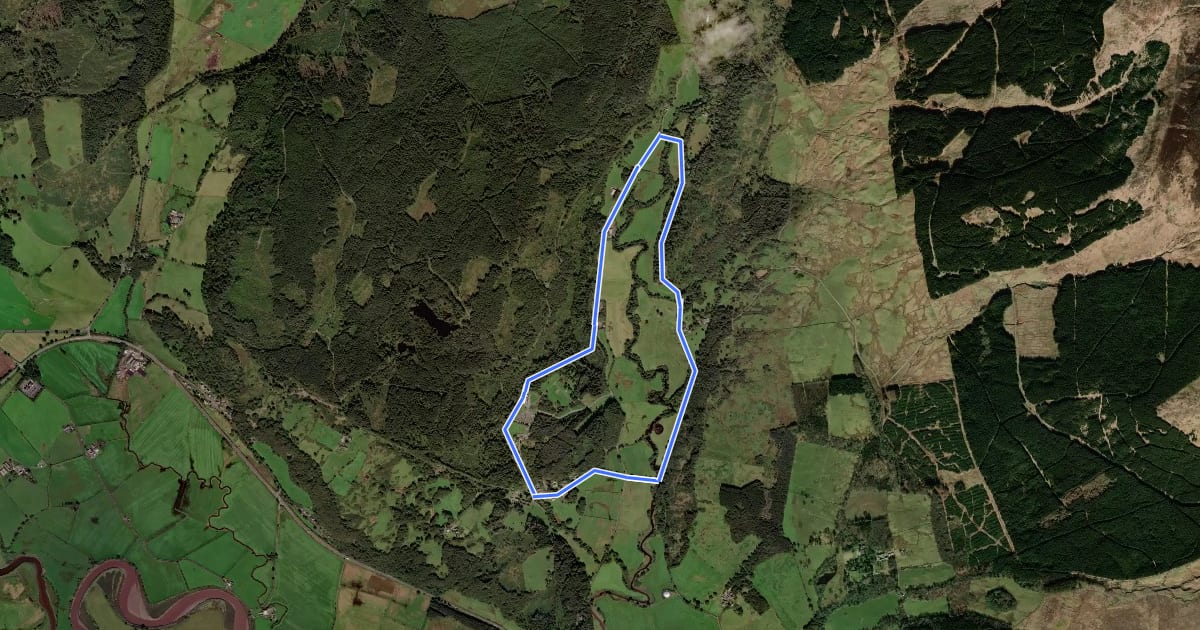 Маршрут Bargary Wood Green Route на спутниковом снимке