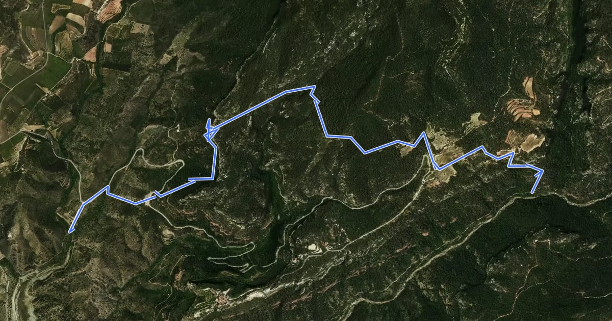 Маршрут Barranc de l'Argentera-Molí de l''Esquirola на спутниковом снимке