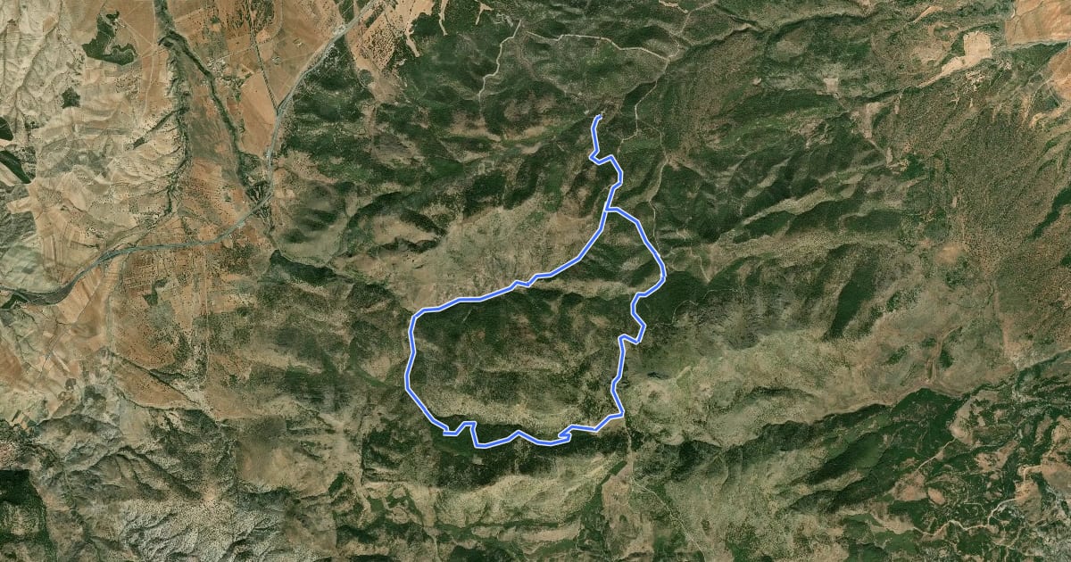 Маршрут Barranco de la Fonfría y Pino de la Señora на спутниковом снимке