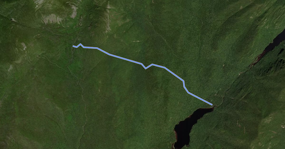 Маршрут Bartlett Ridge Trail на спутниковом снимке