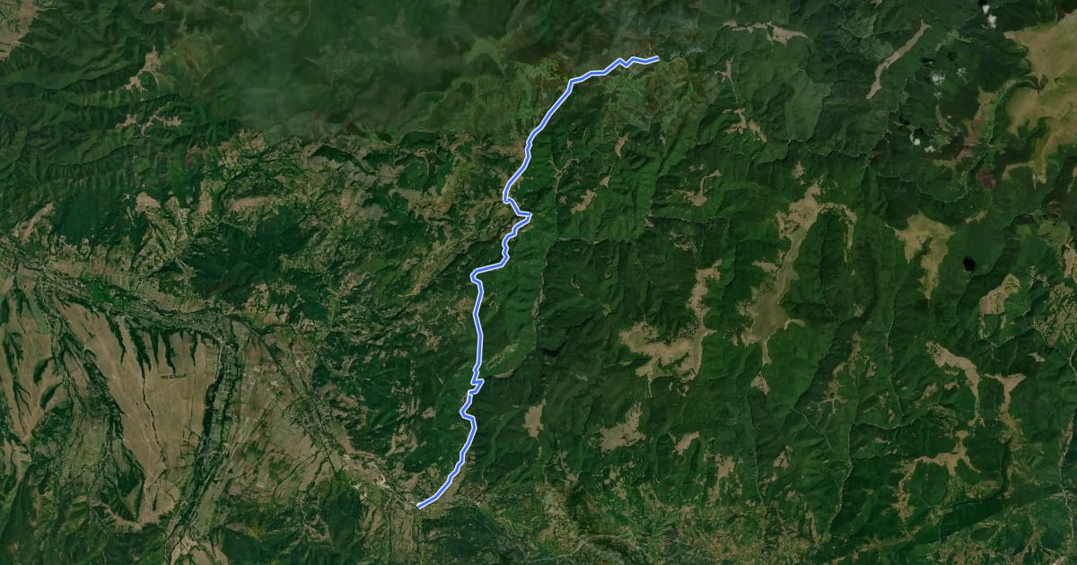Маршрут Baru - lângă Vf. Paltinului - Traseul BA на спутниковом снимке