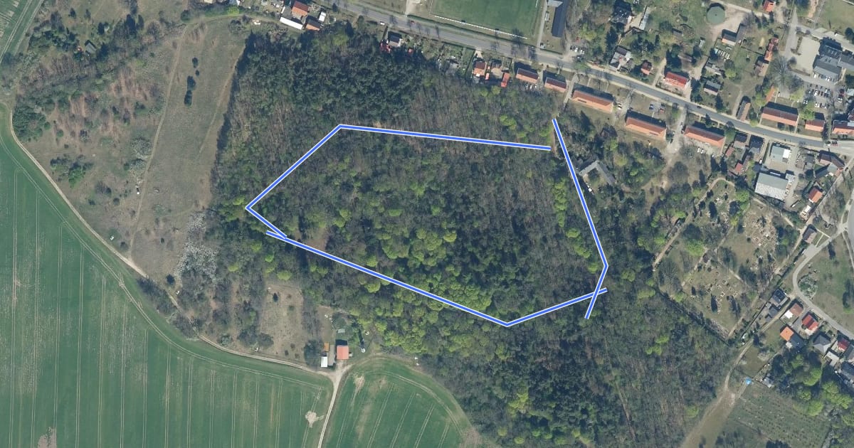Маршрут Baruth-Parkrunde на спутниковом снимке