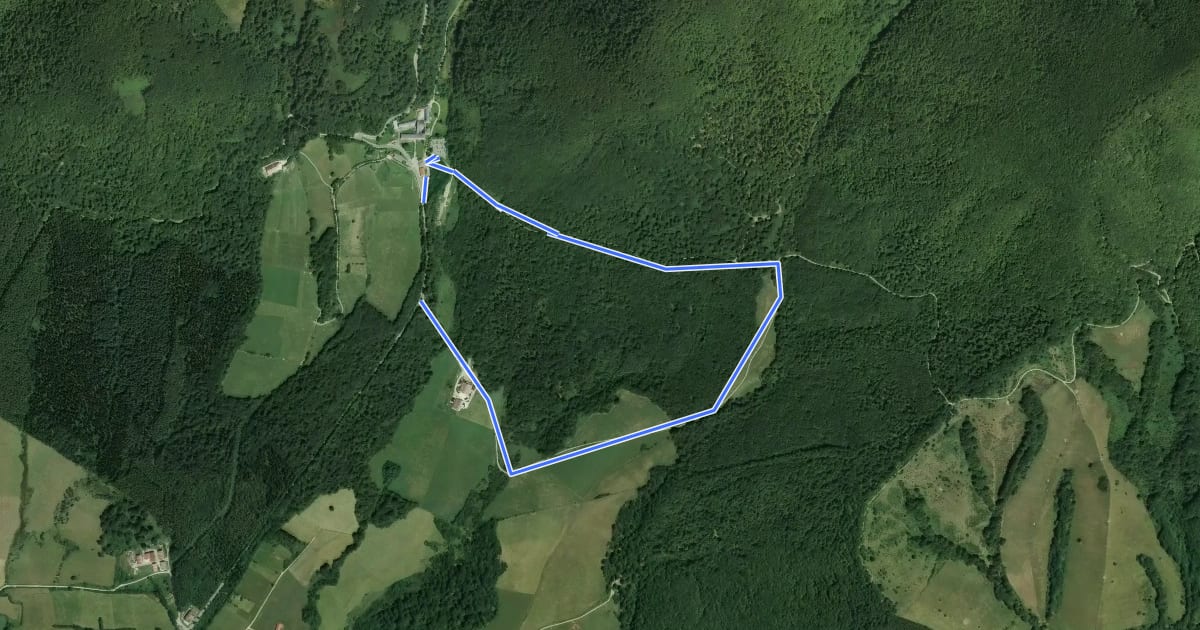 Маршрут Basajaunberroko basoa на спутниковом снимке
