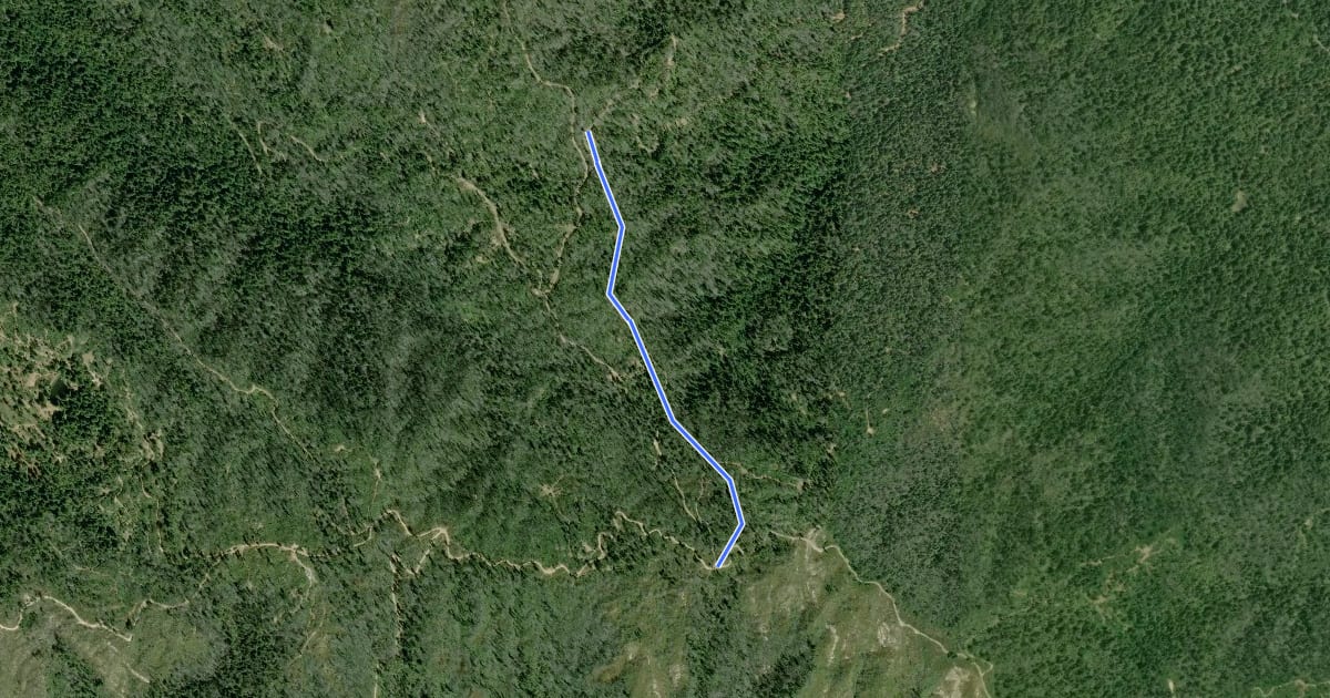 Маршрут Basin Easement Trail на спутниковом снимке