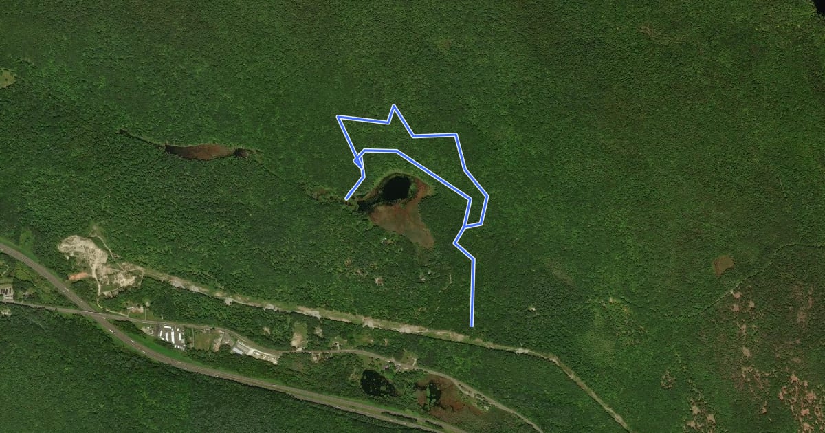Маршрут Basin Pond Trail на спутниковом снимке