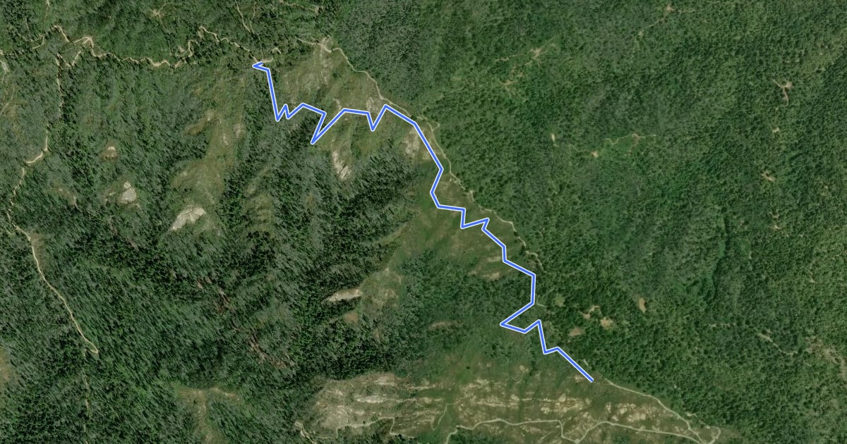 Маршрут Basin Trail 1 на спутниковом снимке