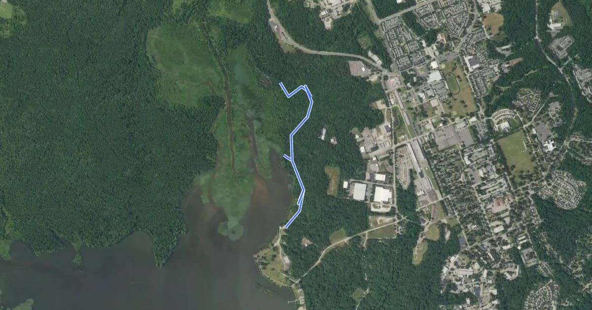 Маршрут Basin Trail на спутниковом снимке