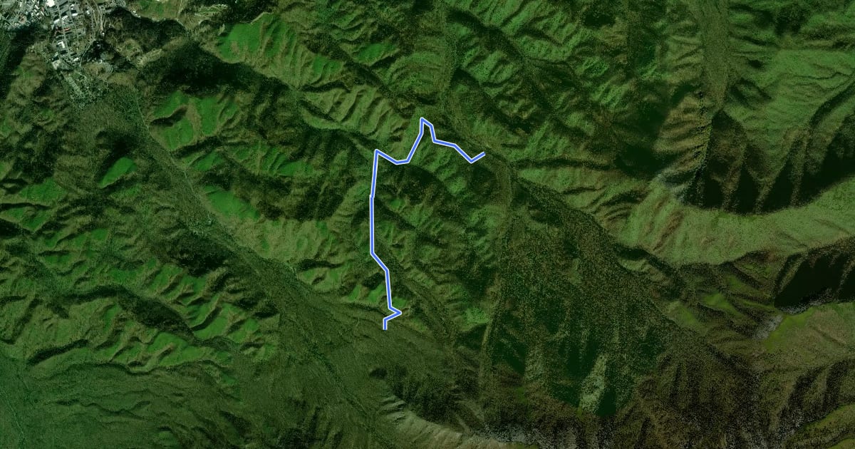 Маршрут Baskins Creek Trail на спутниковом снимке