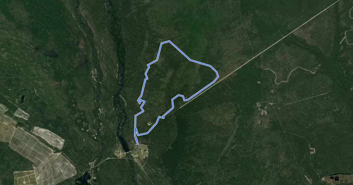 Маршрут Batsto Fire Trail на спутниковом снимке