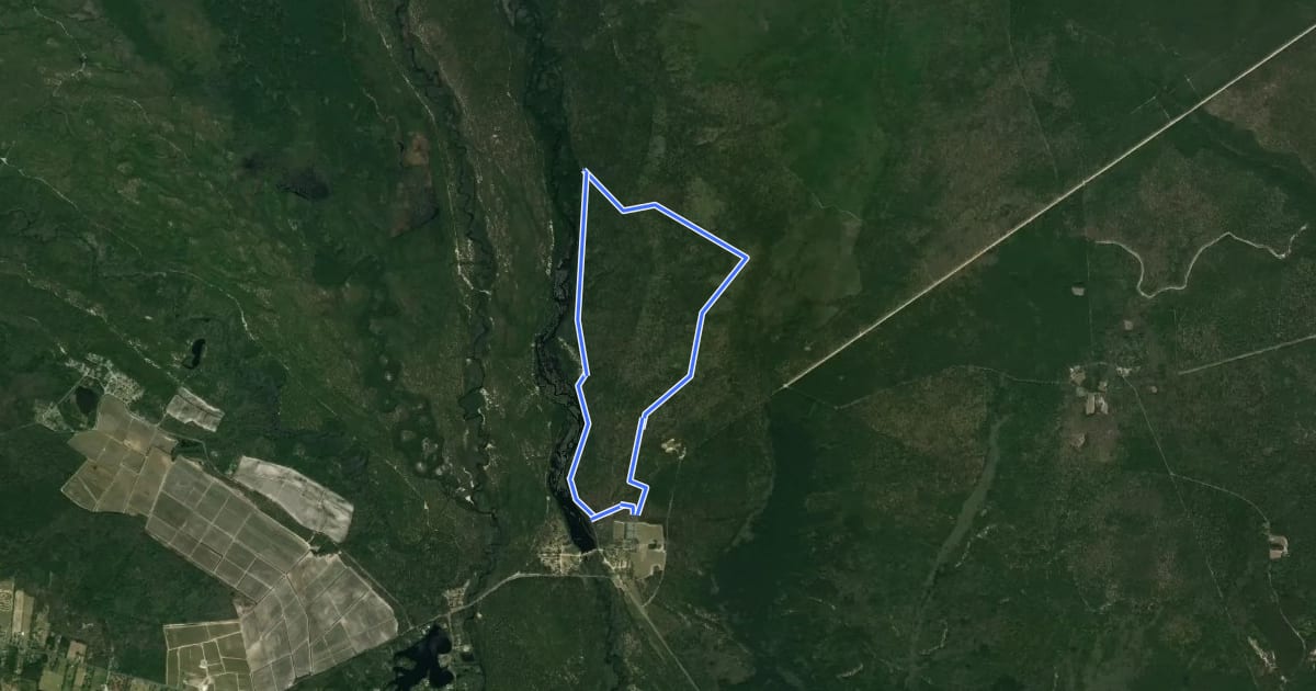 Маршрут Batsto White Trail на спутниковом снимке