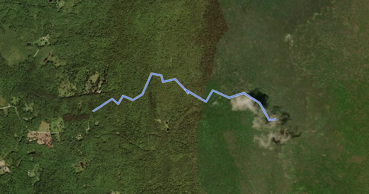 Маршрут Battell Trail на спутниковом снимке