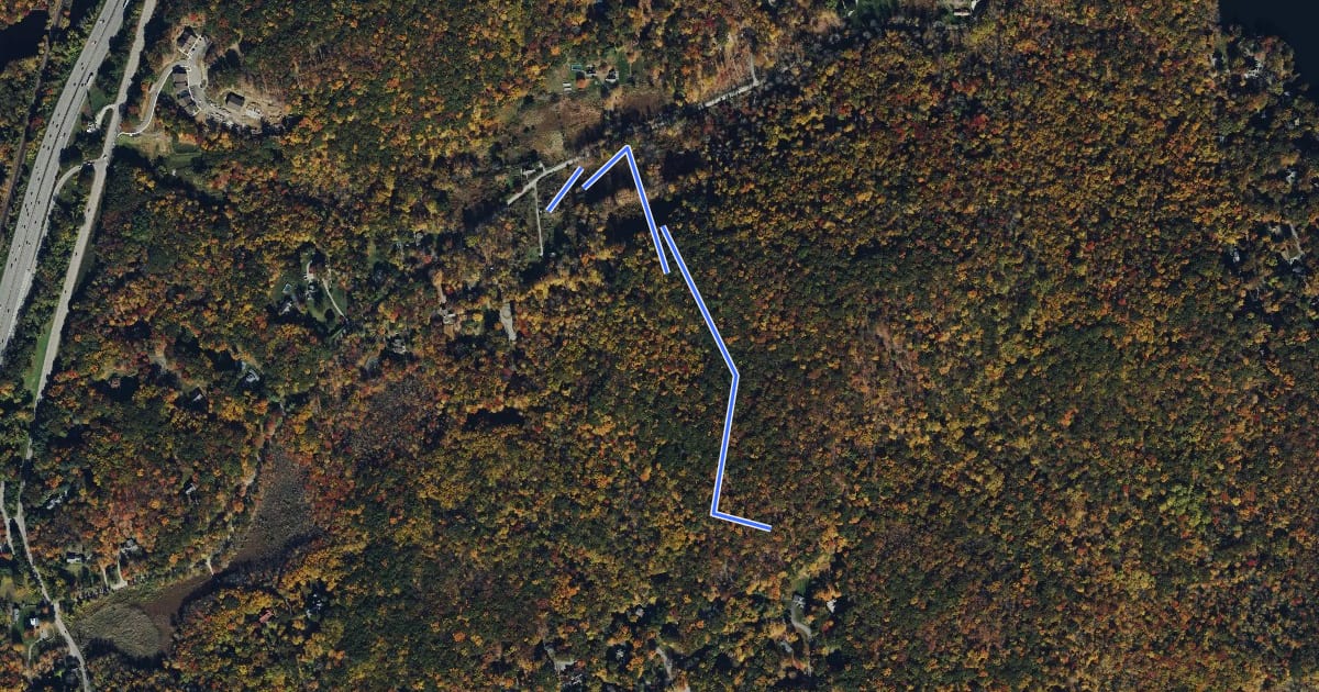 Маршрут Bauer Meadow Hill Trail на спутниковом снимке