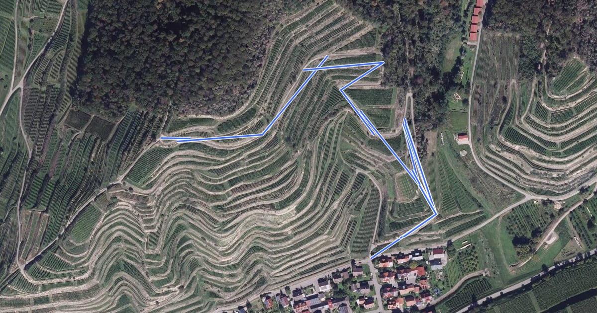 Маршрут Baumgartenkreuz - Schneckenberg на спутниковом снимке