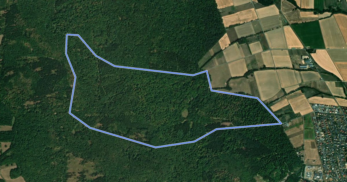 Маршрут Baunatal-Großenritte, Rundweg 1 на спутниковом снимке