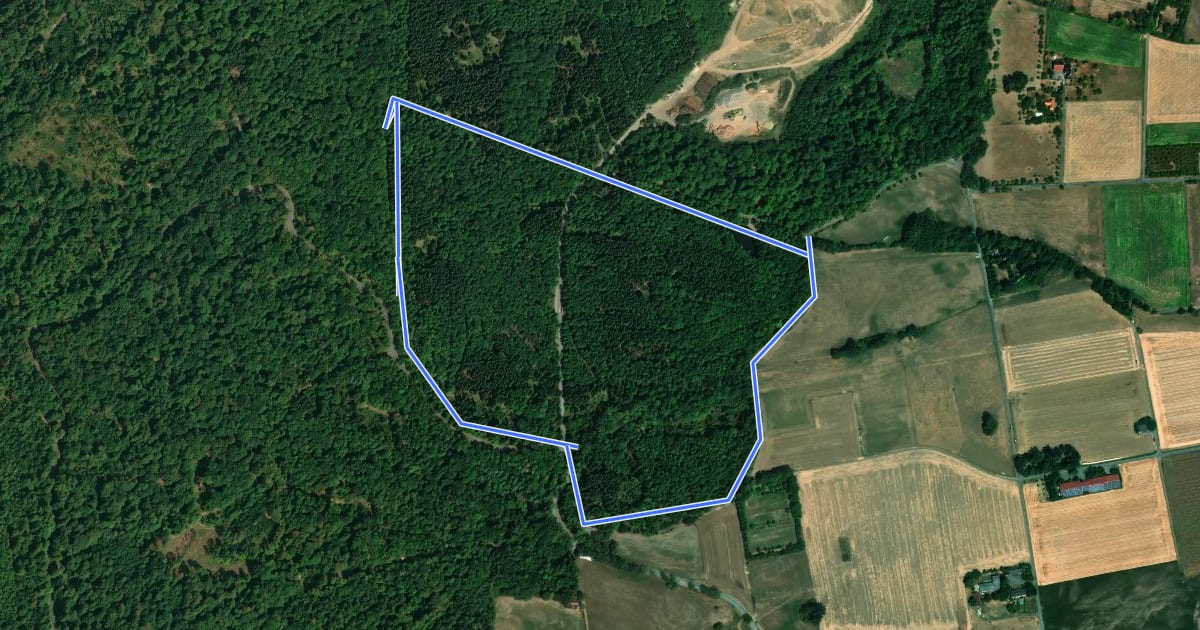Маршрут Baunatal-Großenritte, Rundweg 4 на спутниковом снимке