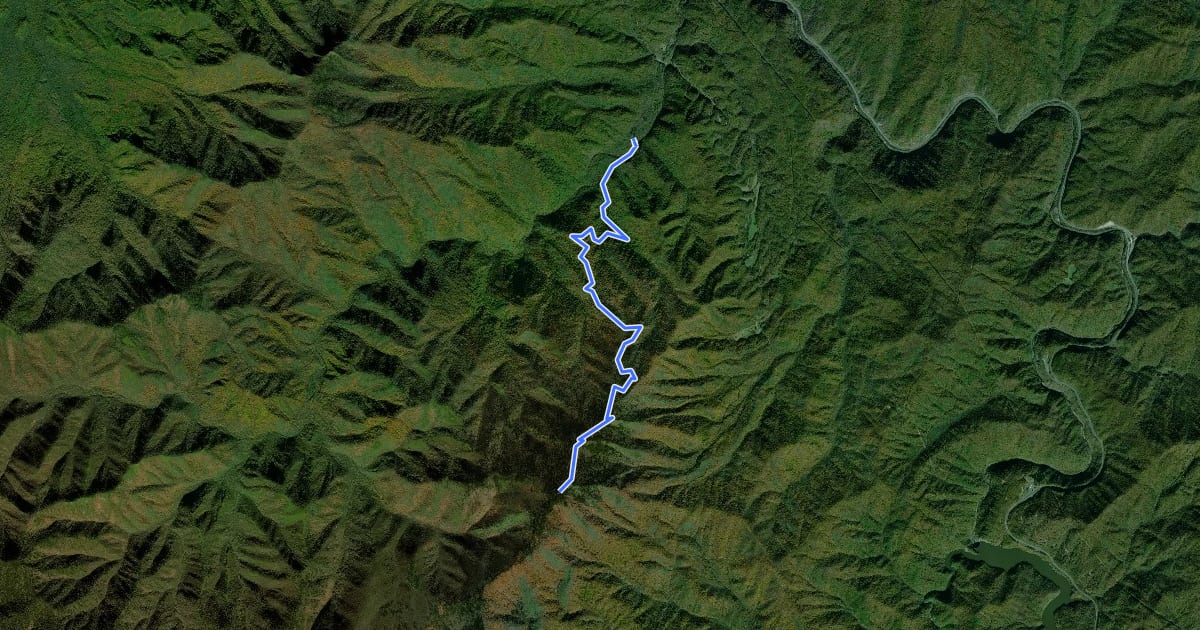 Маршрут Baxter Creek Trail на спутниковом снимке