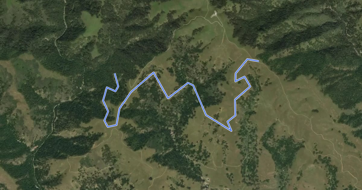 Маршрут Bay Valley View Trail на спутниковом снимке