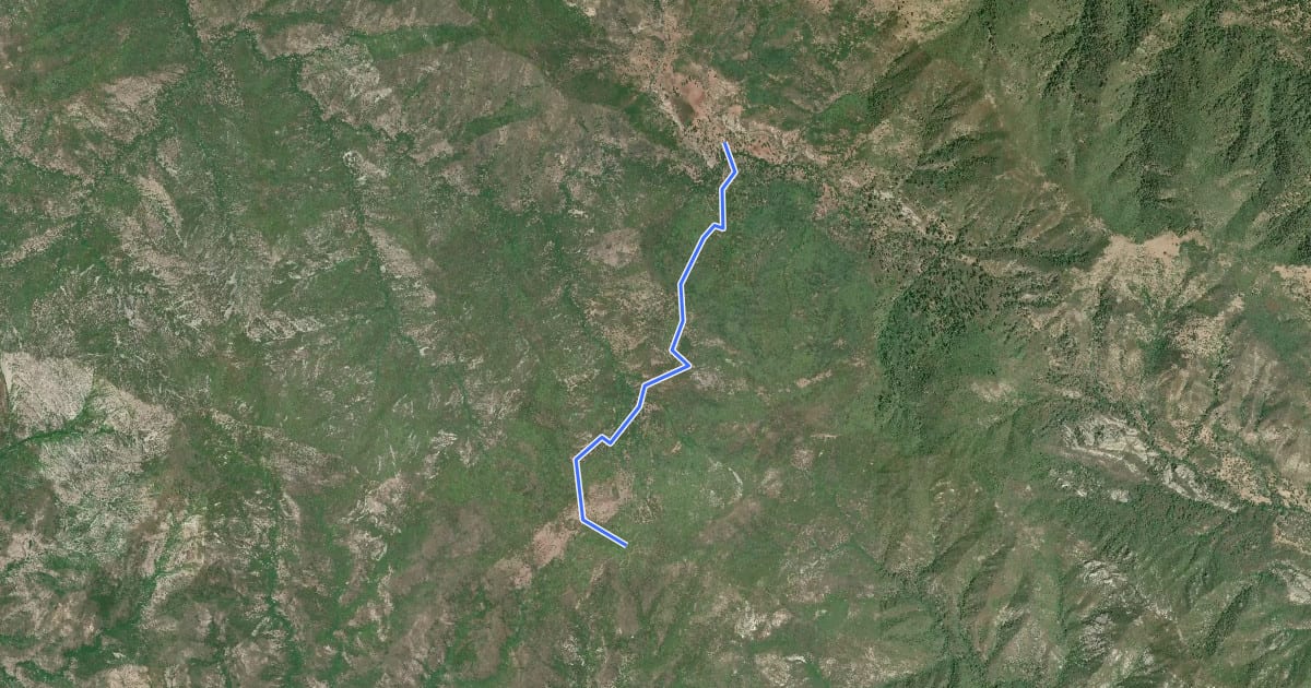 Маршрут Bear Basin Trail на спутниковом снимке