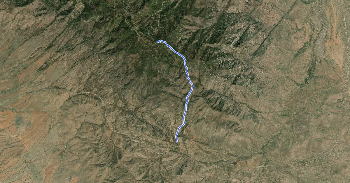 Маршрут Bear Canyon Trail #299 на спутниковом снимке