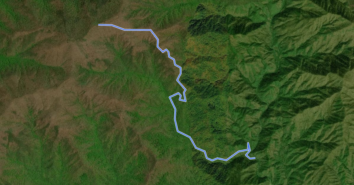 Маршрут Bear Creek Trail на спутниковом снимке