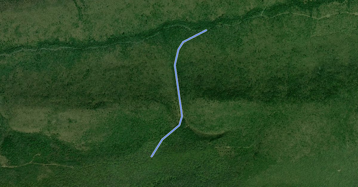 Маршрут Bear Gap Trail на спутниковом снимке