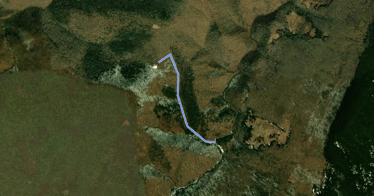 Маршрут Bear Hunter Trail на спутниковом снимке