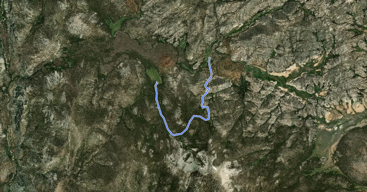Маршрут Bear Meadow Trail на спутниковом снимке