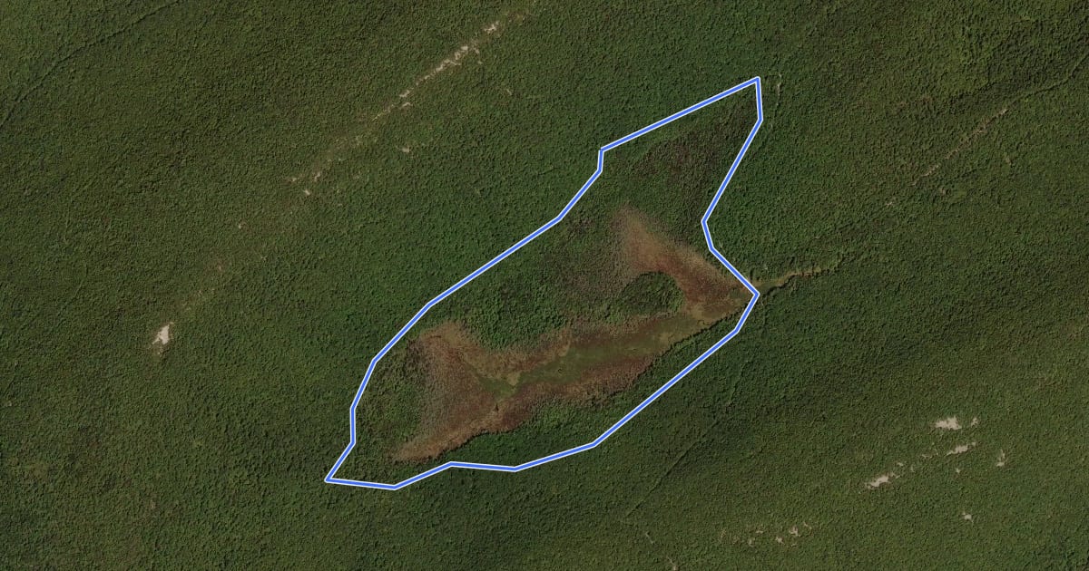 Маршрут Bear Meadows Loop на спутниковом снимке
