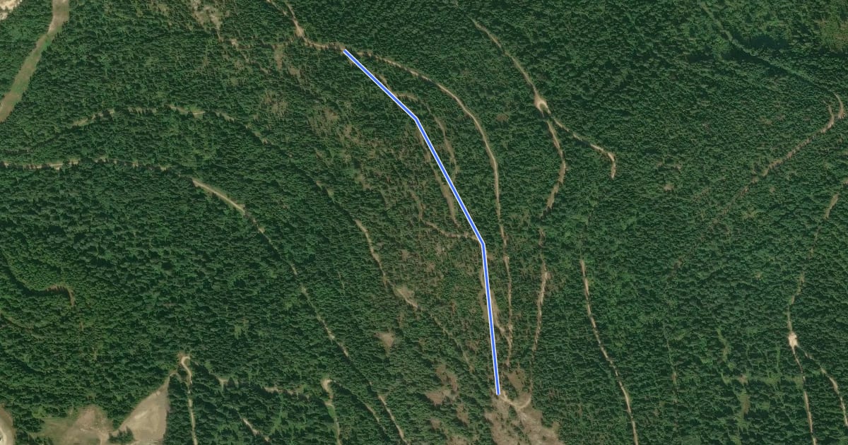 Маршрут Bear Ridge на спутниковом снимке