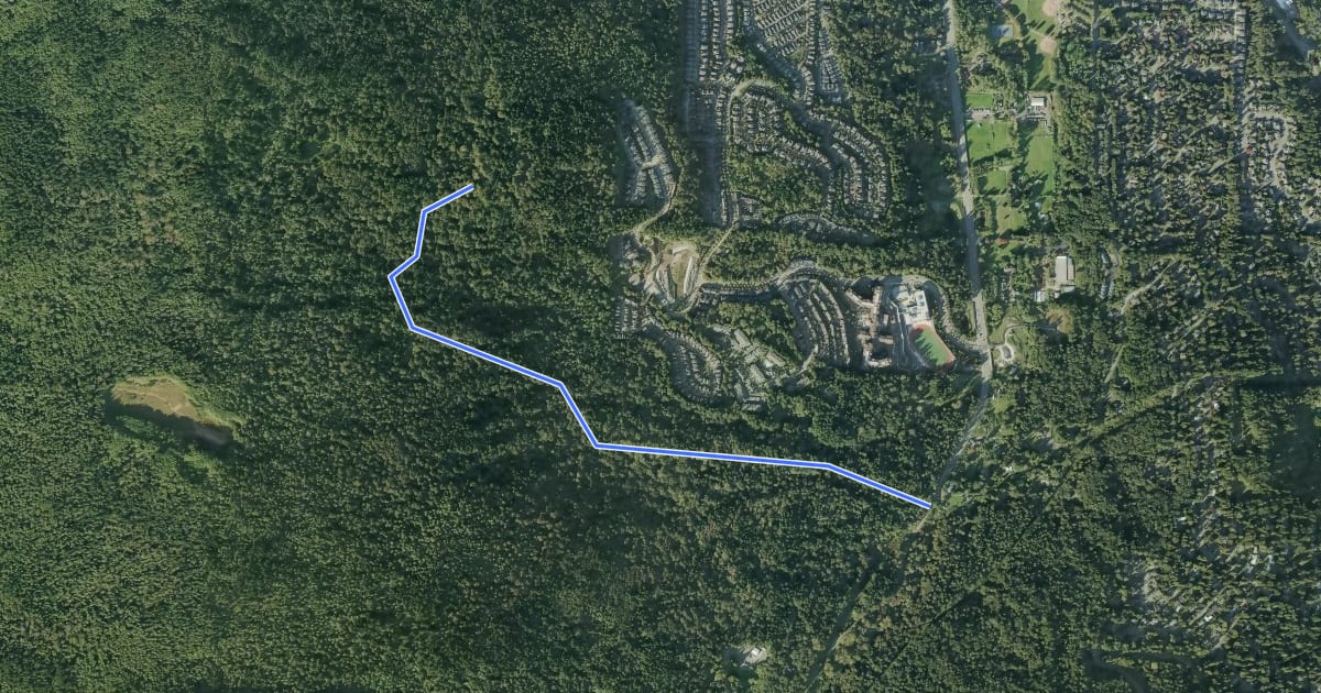 Маршрут Bear Ridge Trail на спутниковом снимке