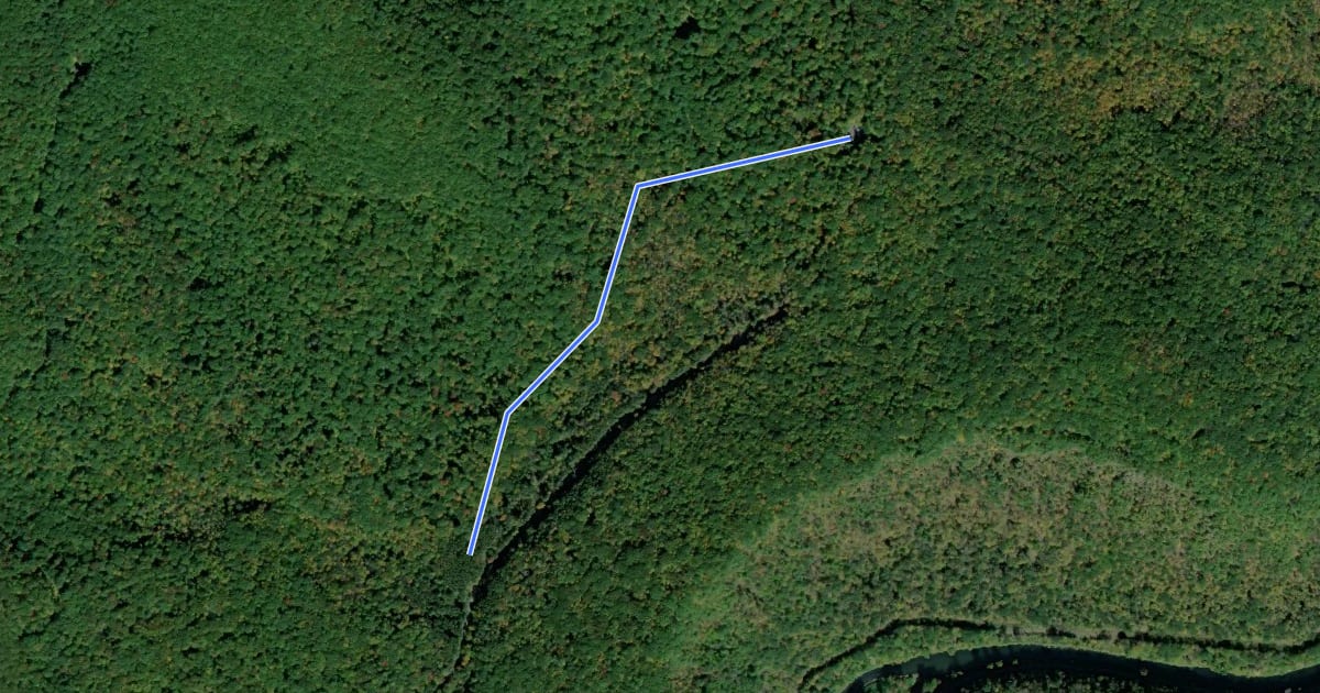 Маршрут Bear Run Trail на спутниковом снимке