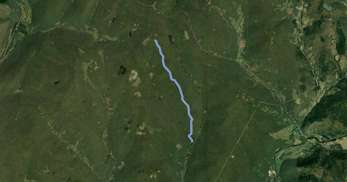 Маршрут Bear Spring - Fork Mountain на спутниковом снимке