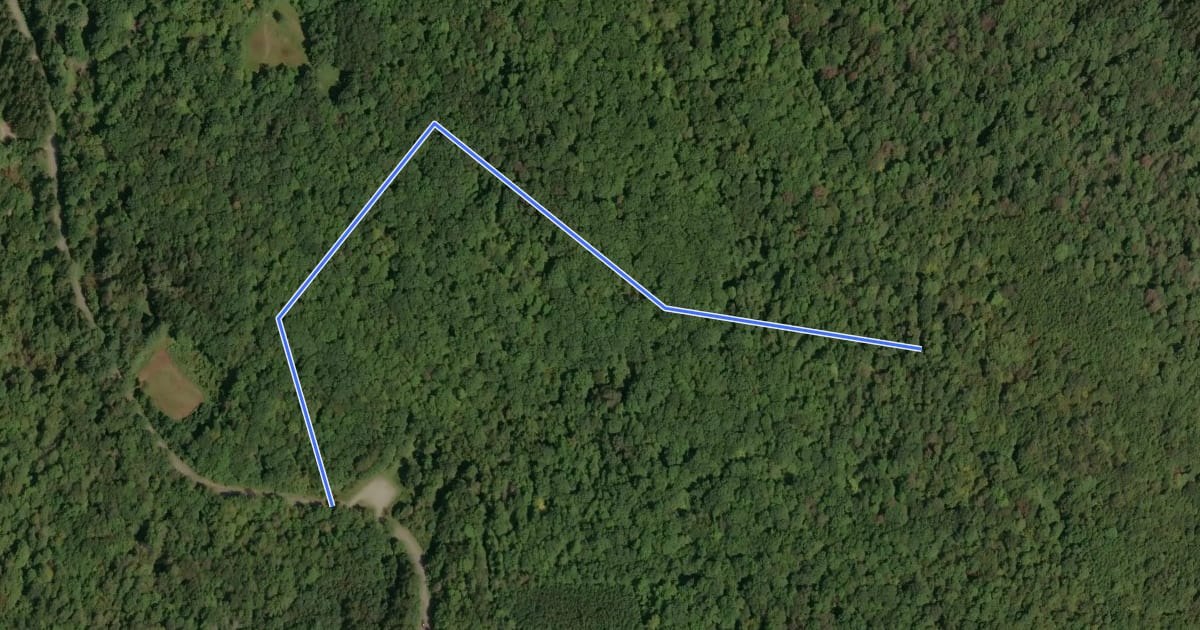 Маршрут Bear Spring - Launt Pond Spur на спутниковом снимке