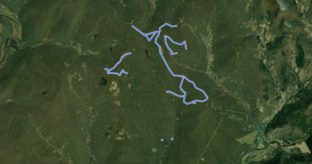 Маршрут Bear Spring Mountain Trails на спутниковом снимке