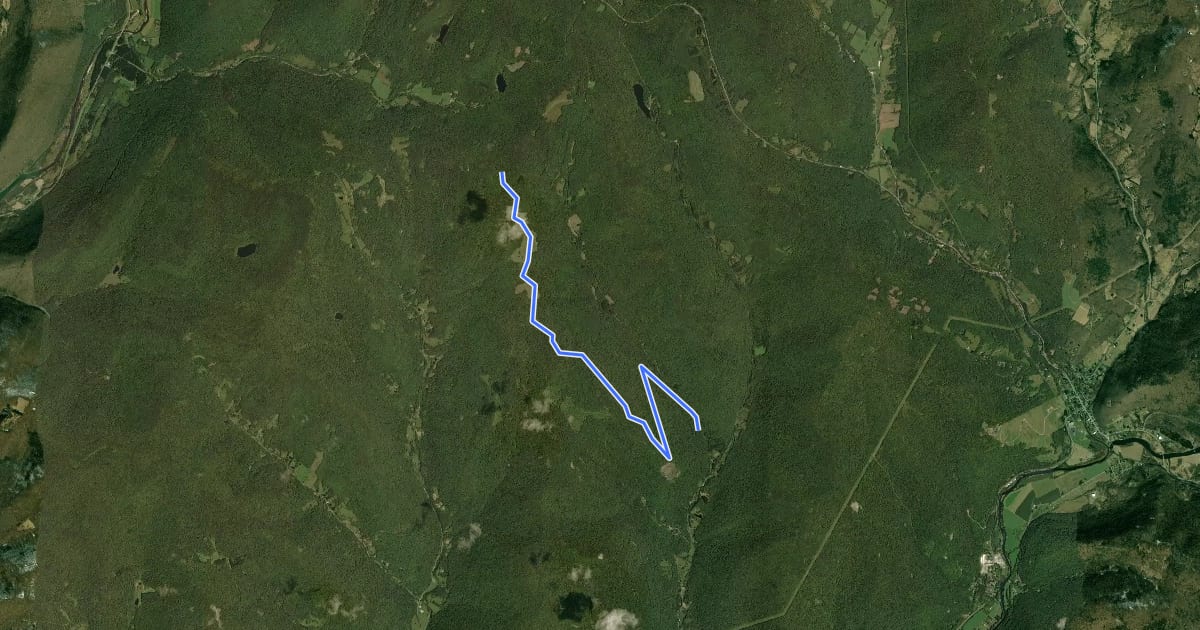 Маршрут Bear Spring - State Hill на спутниковом снимке