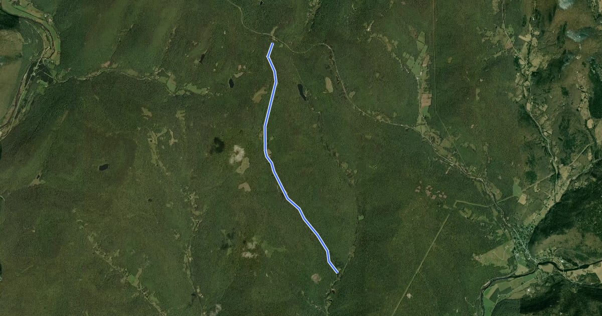 Маршрут Bear Spring - West Trout Brook на спутниковом снимке