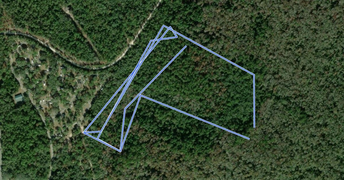 Маршрут Bear Swamp Trail на спутниковом снимке