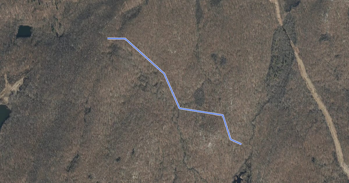 Маршрут Bear Swamp Trail на спутниковом снимке