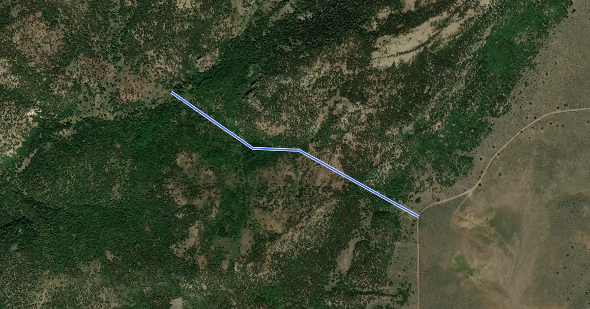 Маршрут Bear Valley/Willow Creek Trail на спутниковом снимке