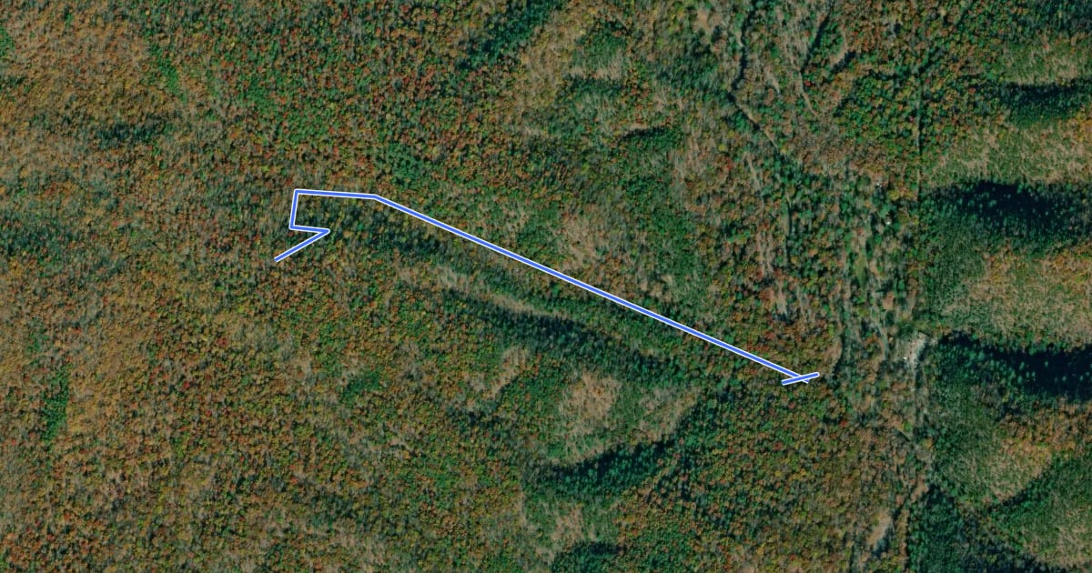 Маршрут Beard's Gap Hollow Trail на спутниковом снимке